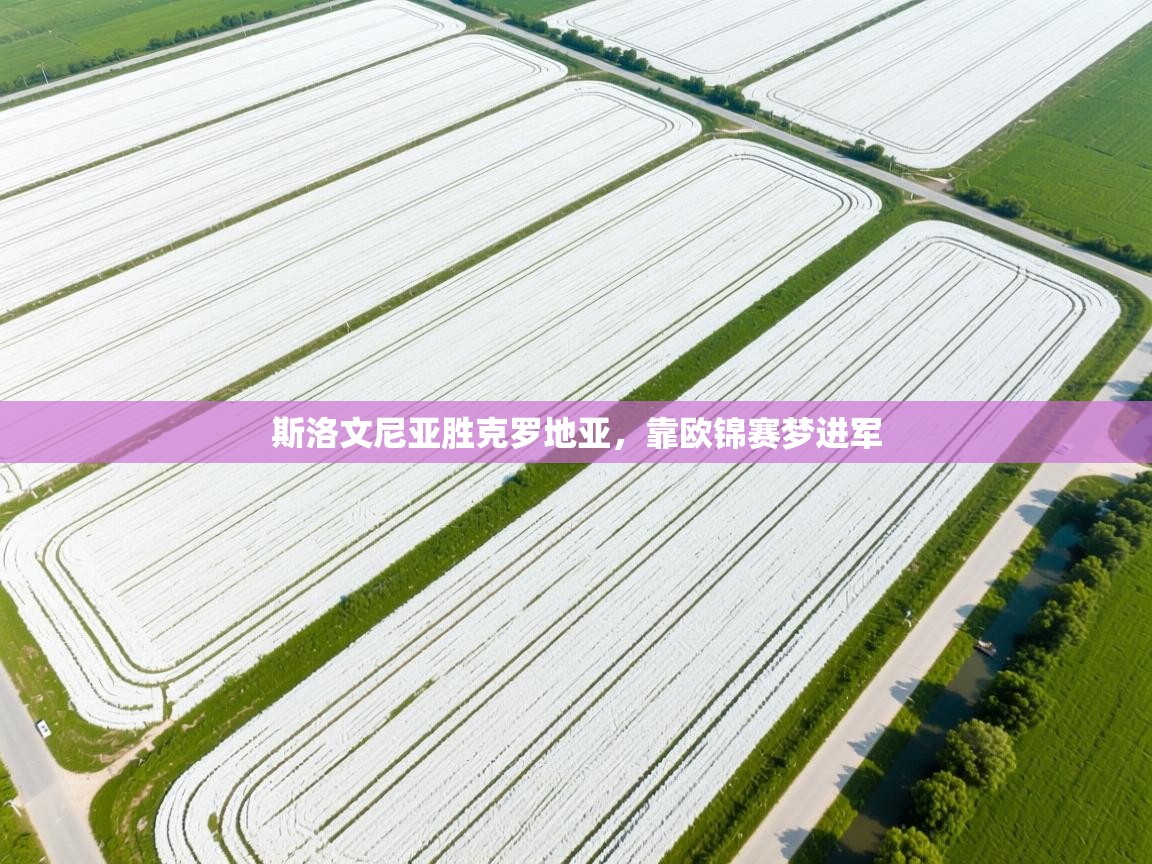 斯洛文尼亚胜克罗地亚,靠欧锦赛梦进军 第2张