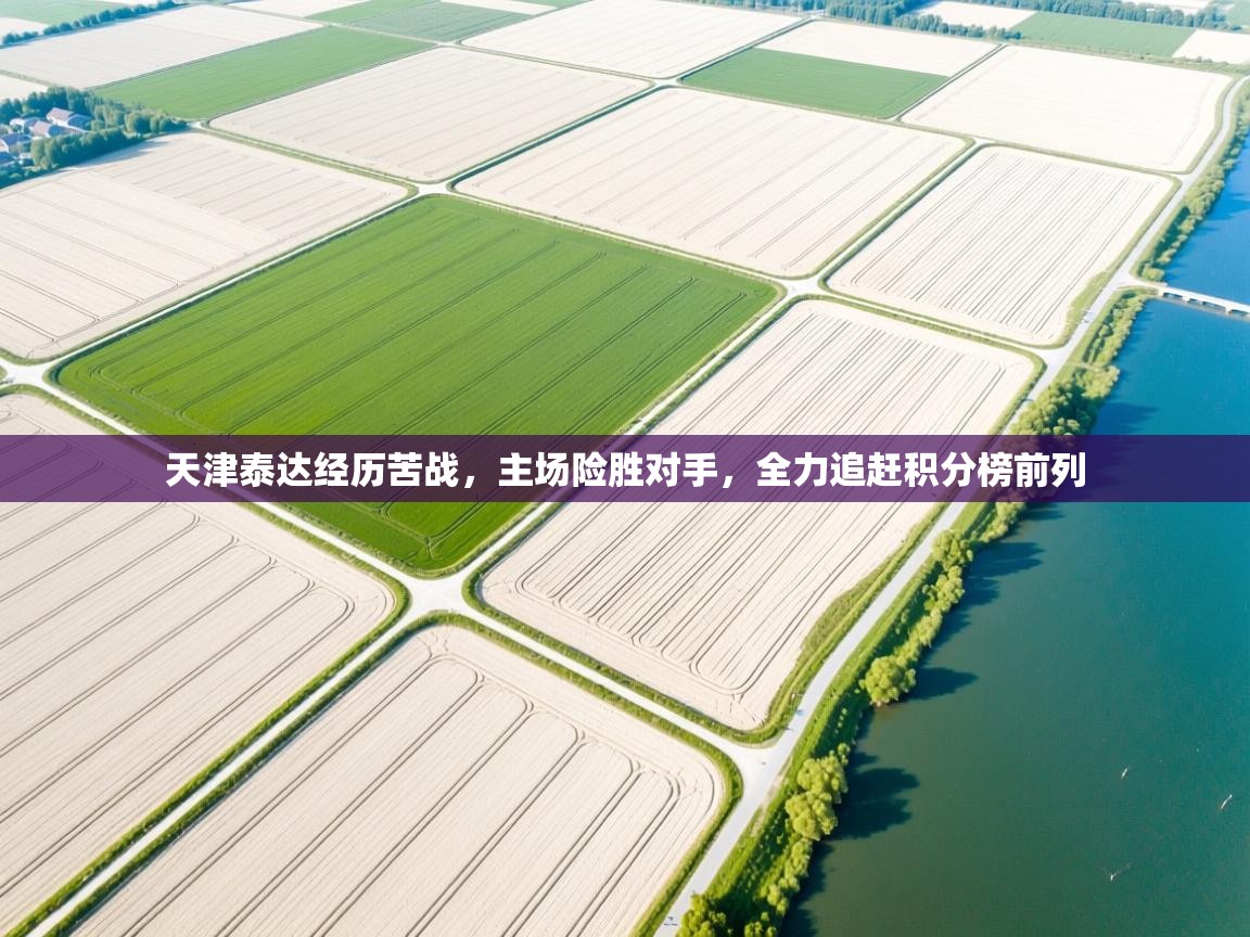 天津泰达经历苦战,主场险胜对手,全力追赶积分榜前列 第1张