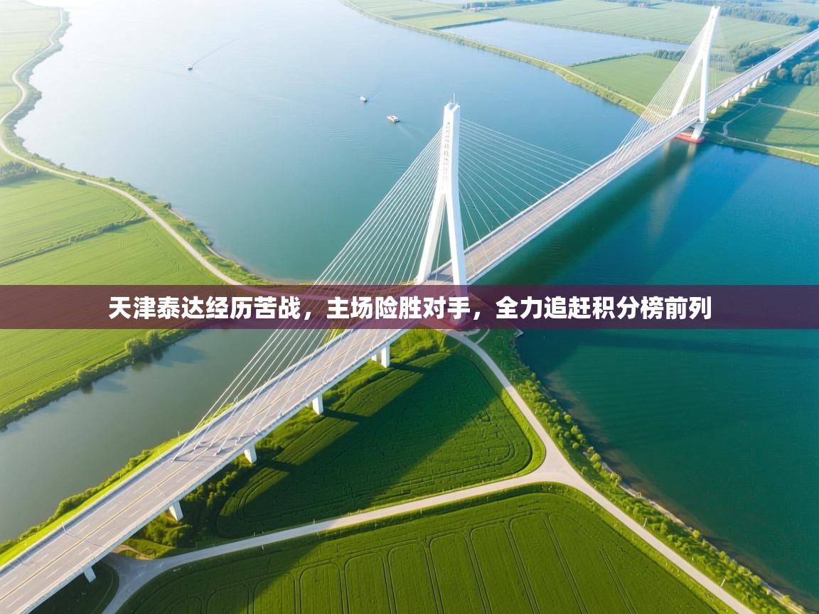 天津泰达经历苦战,主场险胜对手,全力追赶积分榜前列 第2张